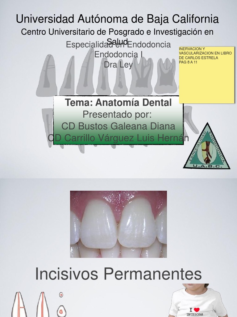 endodoncia carlos estrela